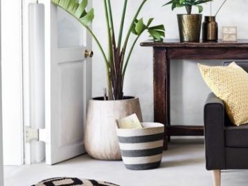 add plants and textiles to update your rooms