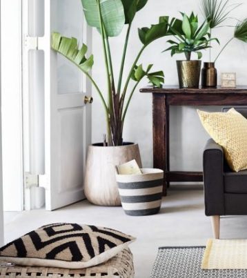 add plants and textiles to update your rooms