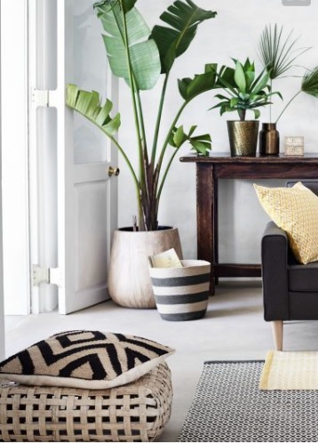add plants and textiles to update your rooms